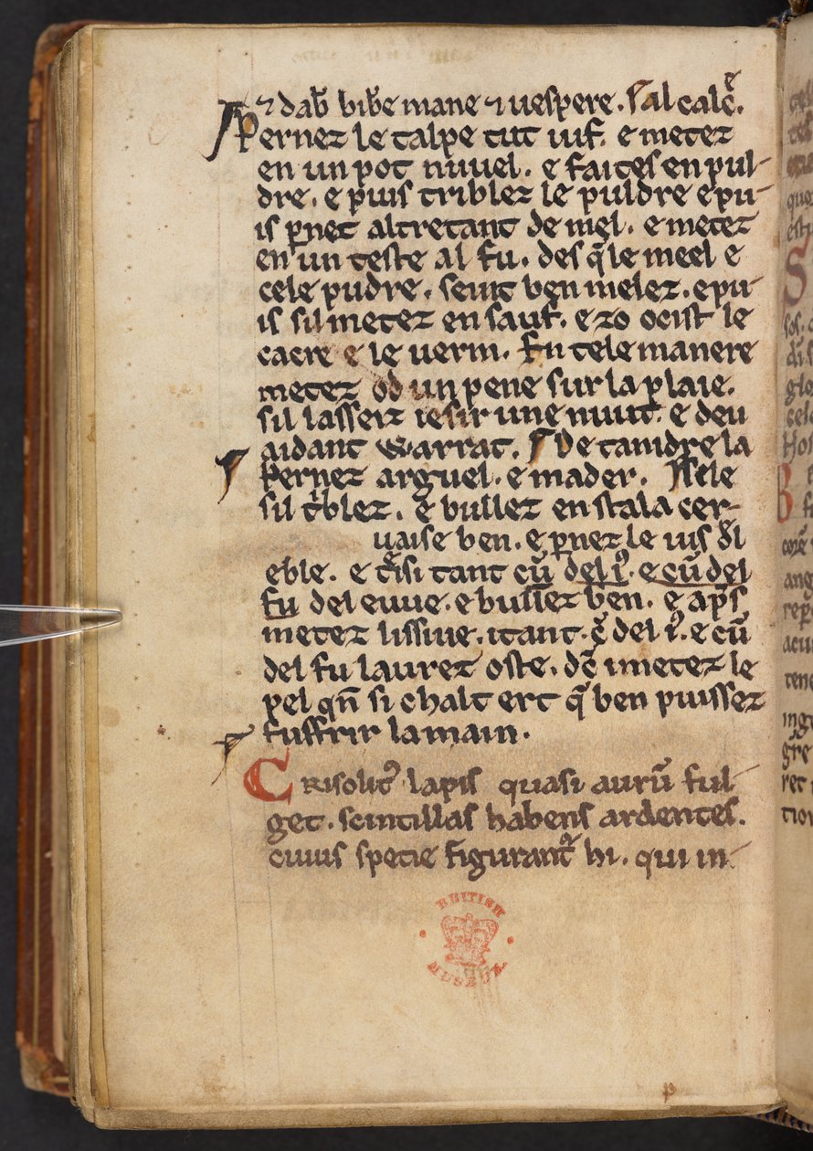 Henry of Huntingdon著『Historia Anglorum』からの抜粋（Cotton MS Titus D XXIV, f.132v（ヴェラム） 作： 英語学校