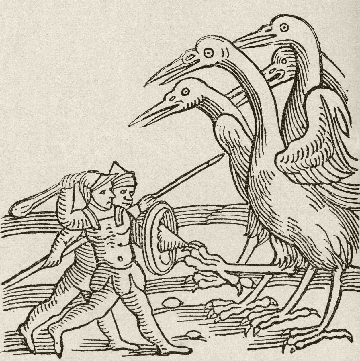 ピグミーとツルの戦い。ギリシャ神話の物語。1897年発行のThe Strand Magazineより。 作： 英語学校