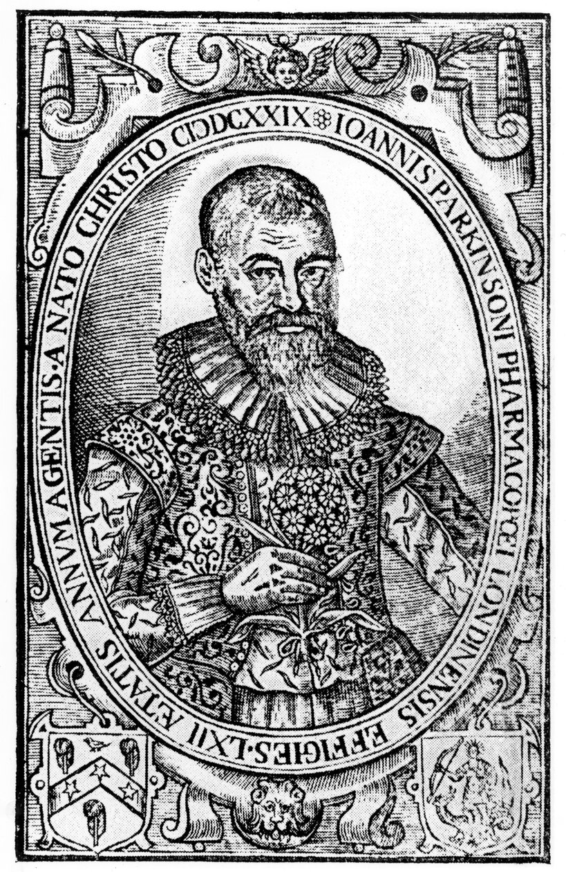 1629年に出版されたジョンパーキンソン著、唯一のパラディサステレストリスのパラディシの口絵 作： 英語学校