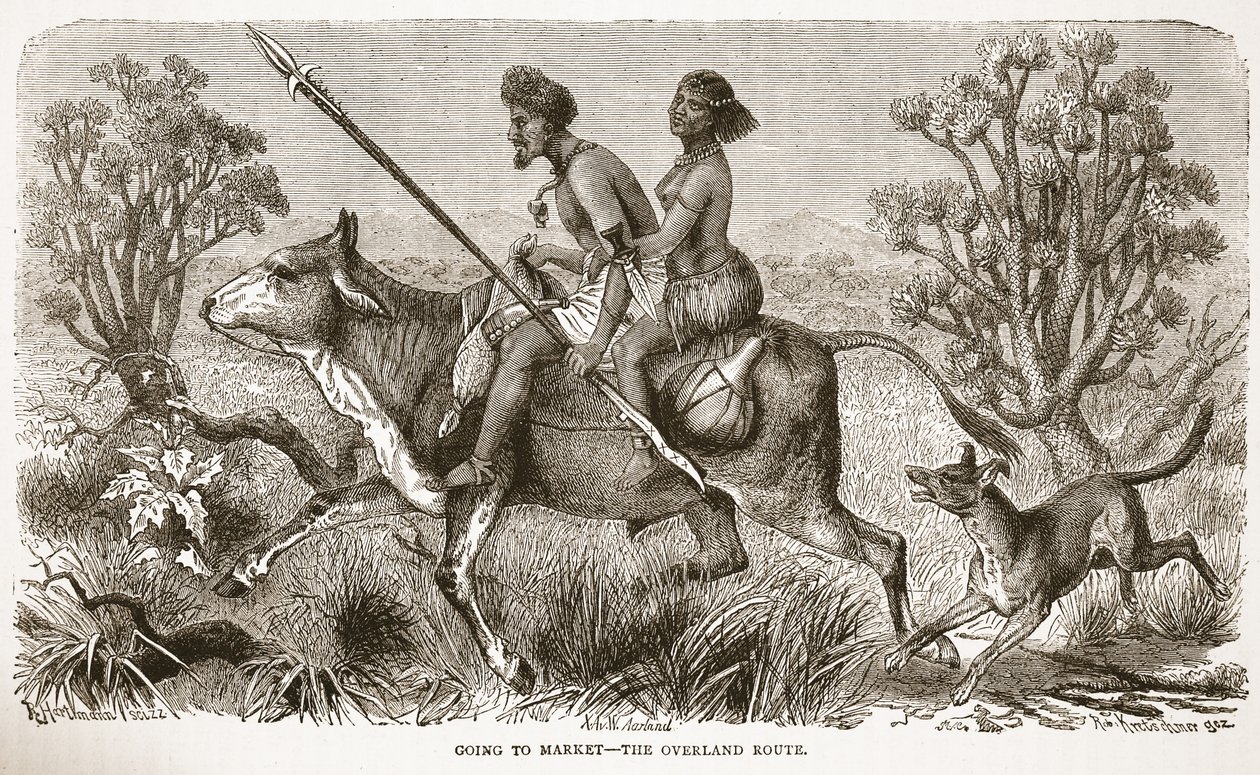 市場に行く-陸路、J。ユーイングリッチーのパブリッシュによる「The Pictorial Edition of the Life and Discoveries of David Livingstone」のイラスト。 A. Fullarton＆Co.、1876年 作： 英語学校