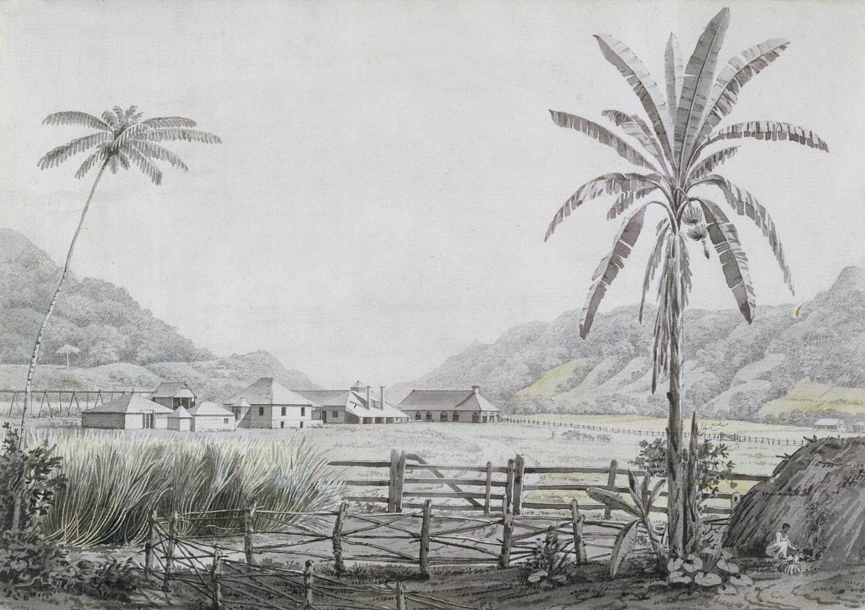ハルマイスホール、ジャマイカ、1780年頃（紙＆紙に黒鉛） 作： 英語学校