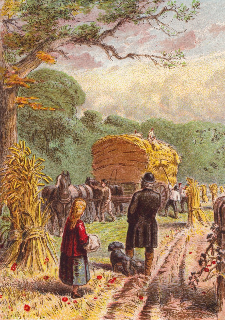 畑での収穫（カラーリトグラフ） 作： 英語学校