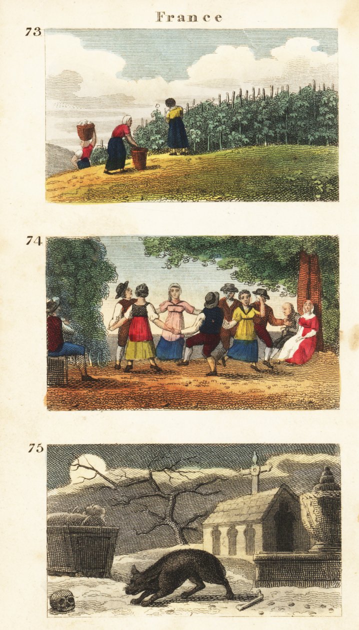 フランスの歴史観 作： 英語学校