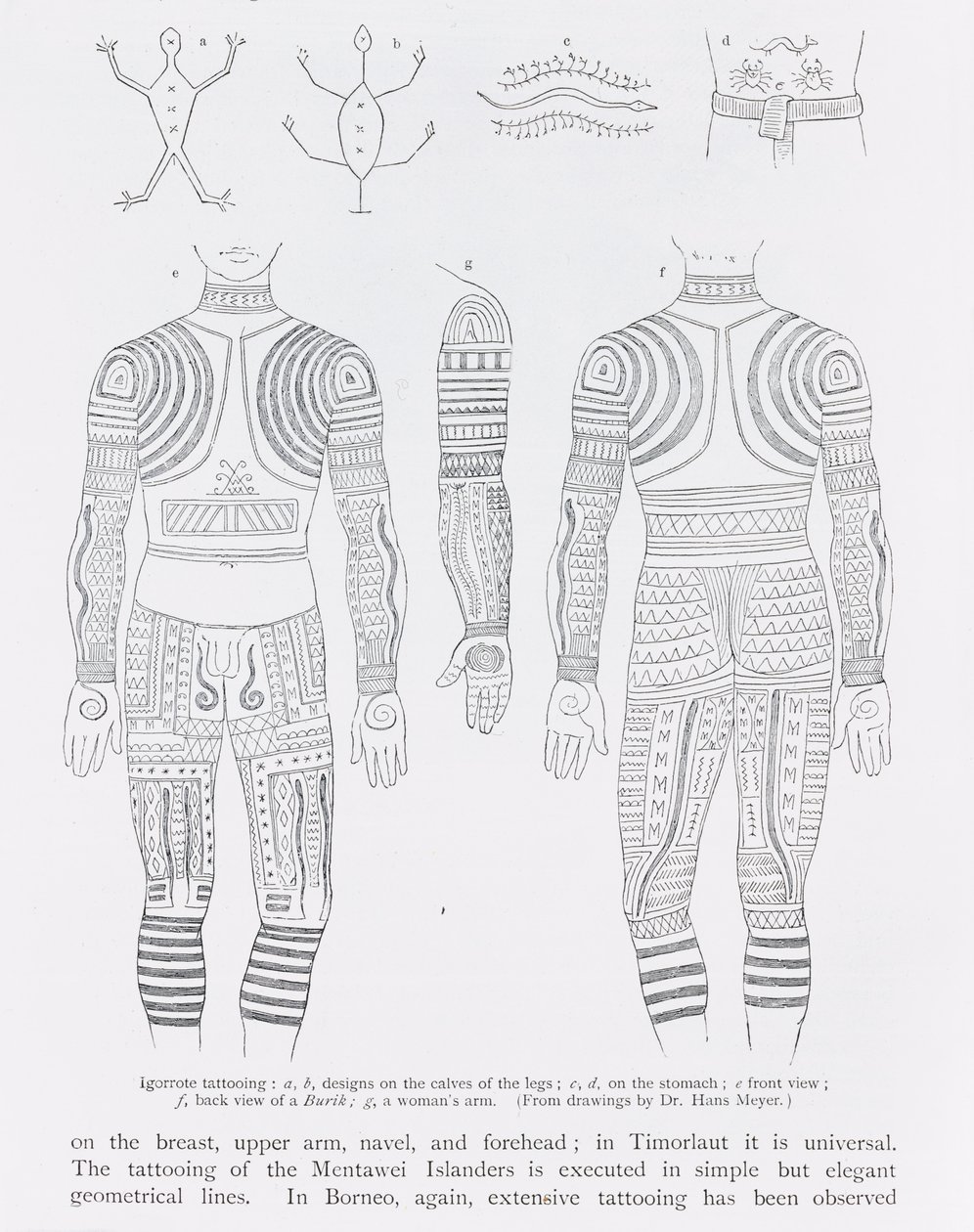 Igorrote tattooing、from the History of Mankind、Vol.1、by Prof. Friedrich Ratzel、1896 作： 英語学校
