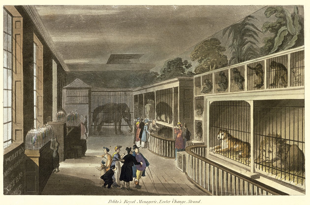 Politos Royal Menagerie、Exeter Change、Strand、1812（アクアチント）の内部ビュー 作： 英語学校