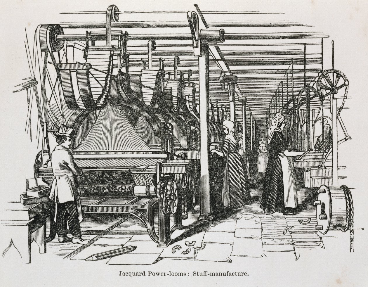 Jacquard Power Looms 作： 英語学校