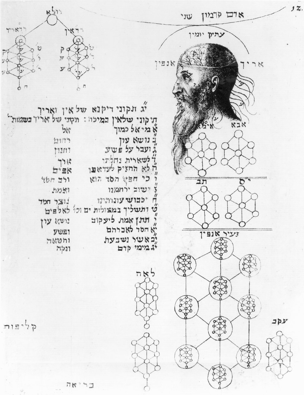 骨相学を示すユダヤ人の原稿 作： 英語学校