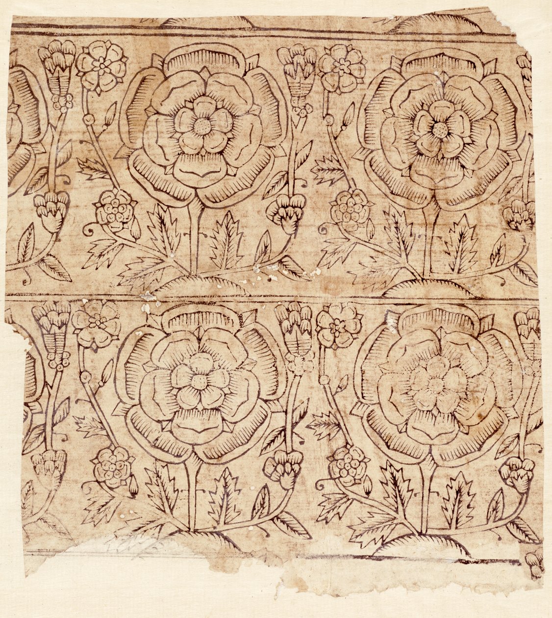Tudor Roseパターンの裏地紙、c.1550（木版印刷） 作： 英語学校