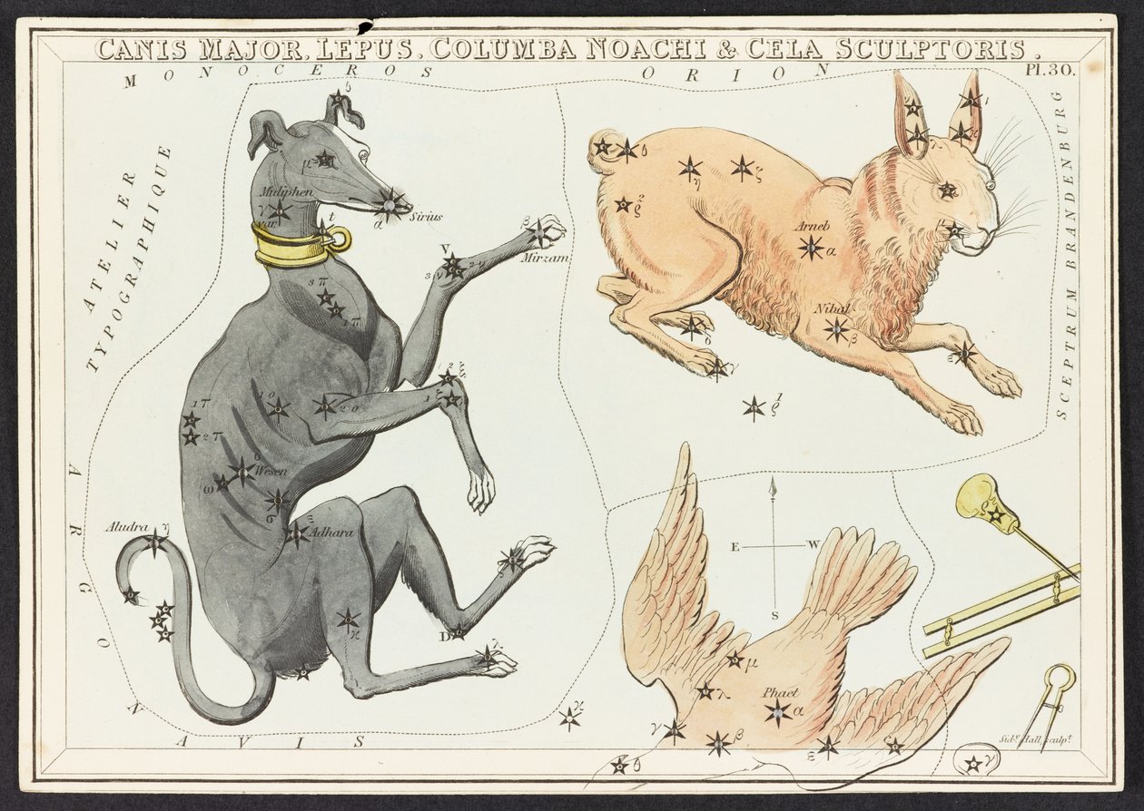 マップ C.44.A.42 Canis Major Lepus、「ウラニアの鏡」より。 または、天の眺め。 [32 枚のカードが入った箱]