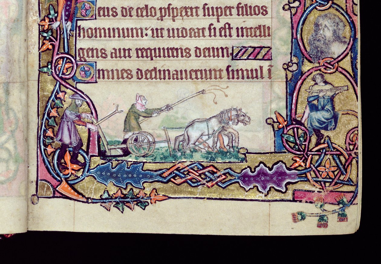 Ms 1-2005, ff.76v-77r:ダビデと愚か者」（1330年頃、東アングリアのサルムで使用されたマックルスフィールド・プサルターの歴史的イニシャル）（ヴェラム製 作： 英語学校