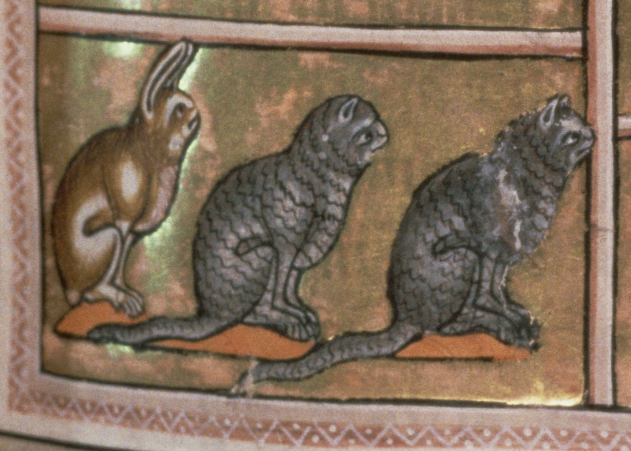 Ms 24 f.5 Adam は、アバディーンの Bestiary (vellum) から北ミッドランズ原産の動物に名前を付けています (52593 の詳細) 作： 英語学校