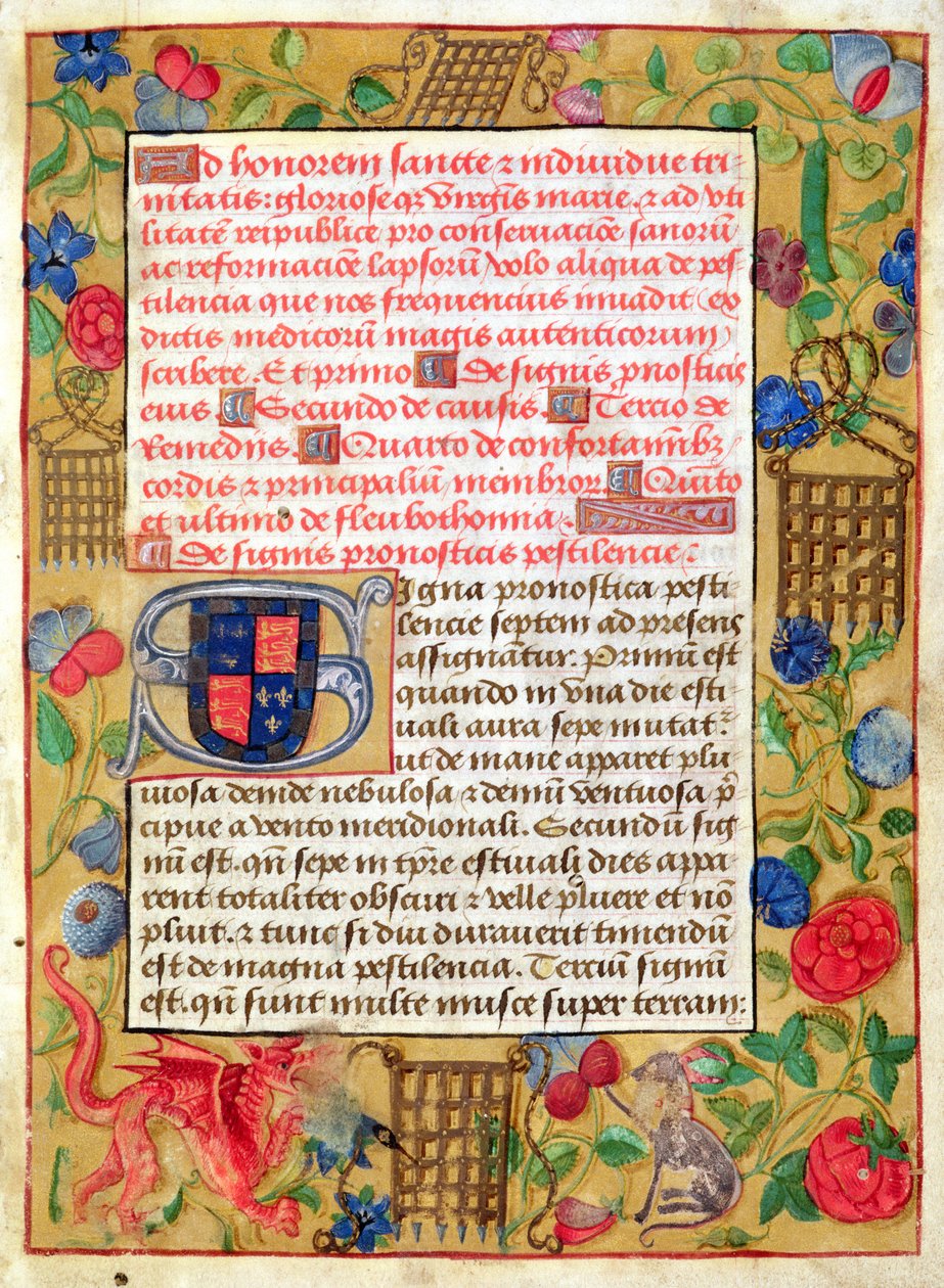 Ms 261 fol.1rラテン語と英語の疫病集からのページ、1500年頃 作： 英語学校