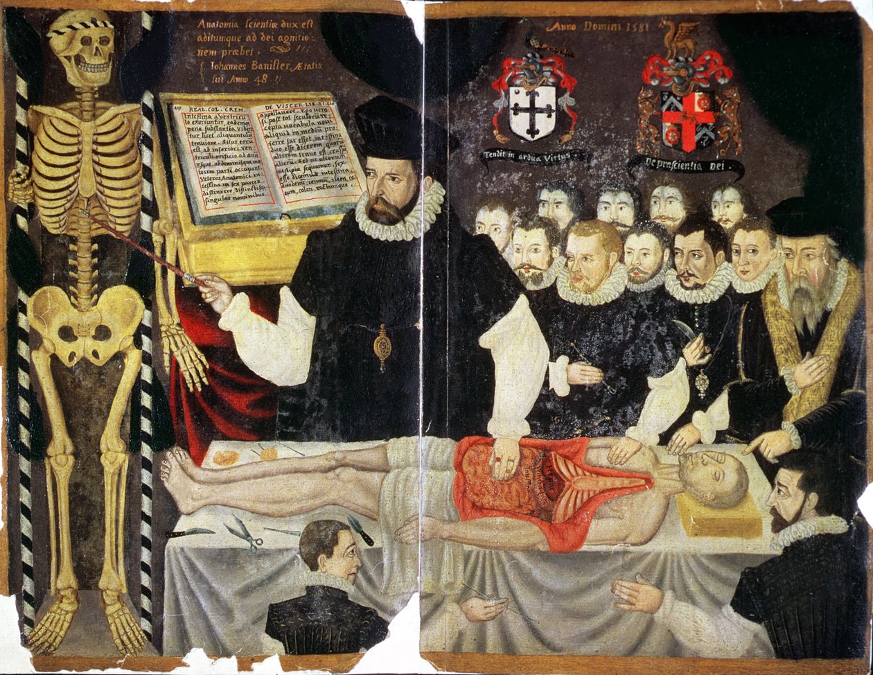 Ms Hunter 364 Top v14 fol.59 Frontispiece, John Bannister Lecture with Dissection (茶色の紙に油彩) 作： 英語学校