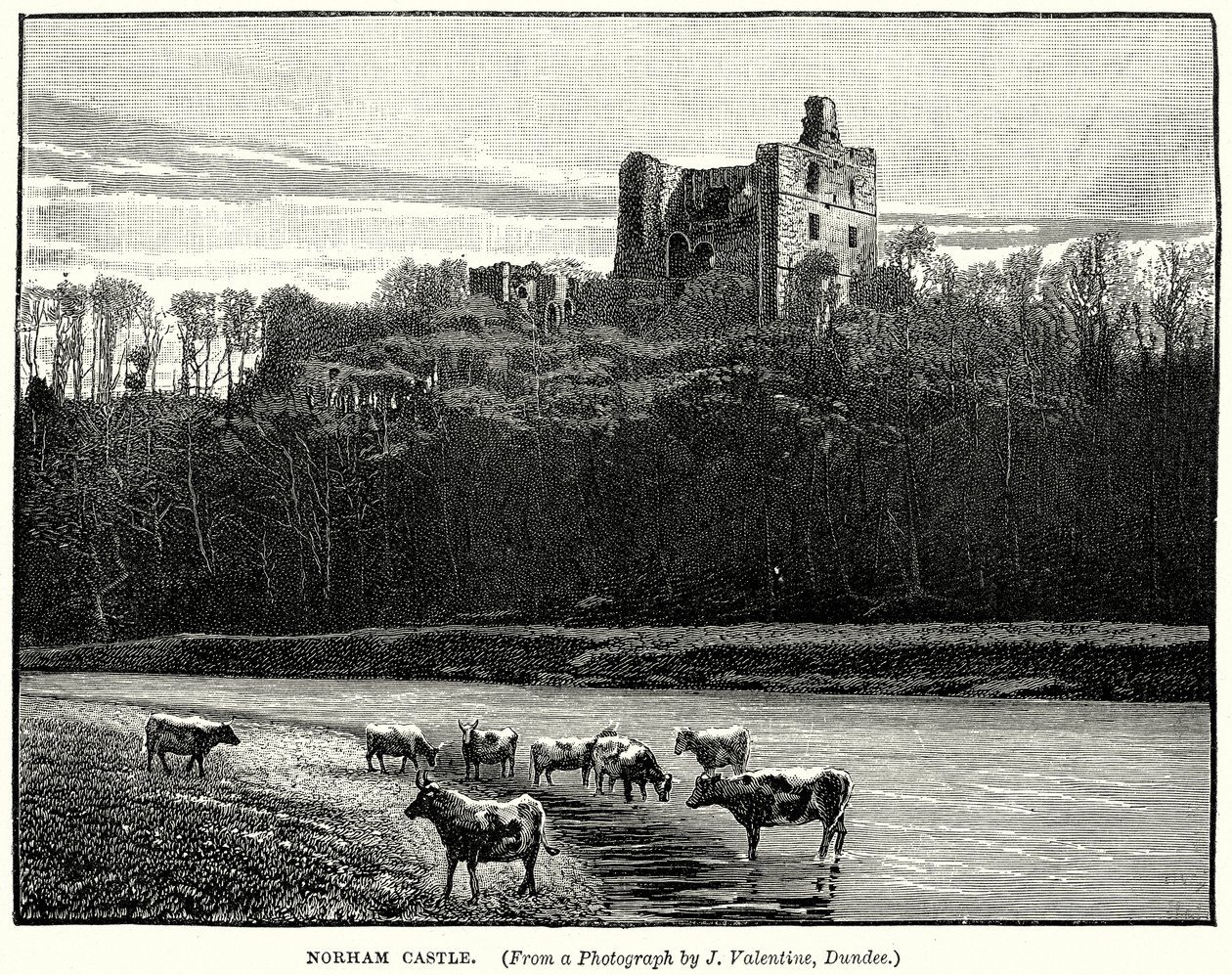 ノーラム城（エングレーヴィング） 作： 英語学校