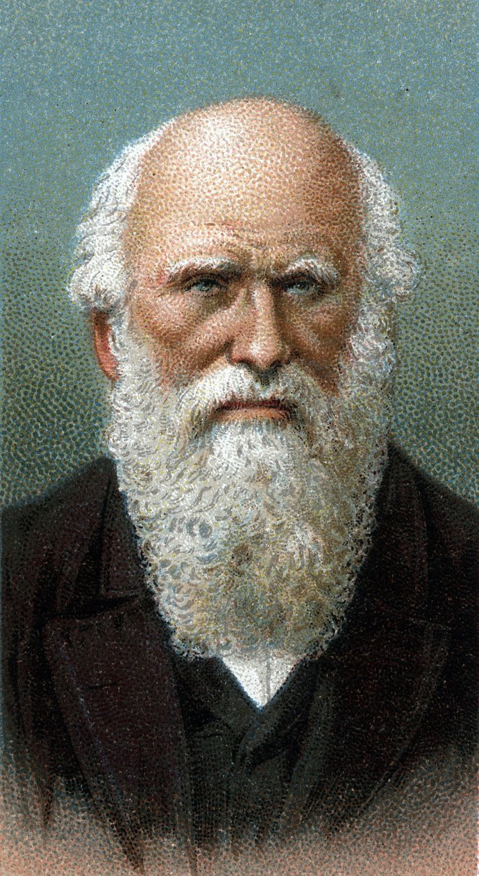 チャールズ・ロバート・ダーウィン（1809-1882）の肖像 - シリーズ「人間のリーダーたち」より - クロモリトグラフ - イギリス派、20世紀 - 。 作： 英語学校