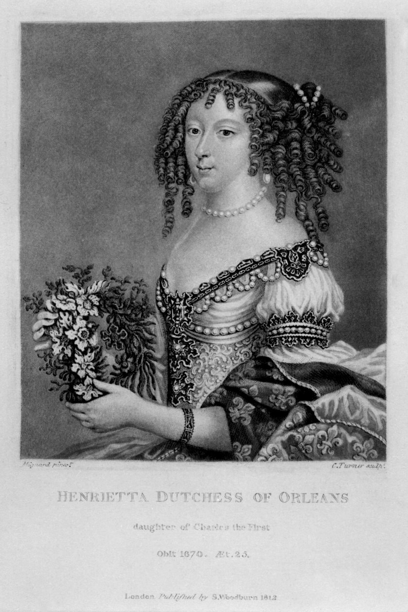 1815年にリチャードアーロムとチャールズターナーによる「イギリスの歴史に描かれた人物」からのオルレアン公爵夫人、ヘンリエッタアンの肖像 作： 英語学校