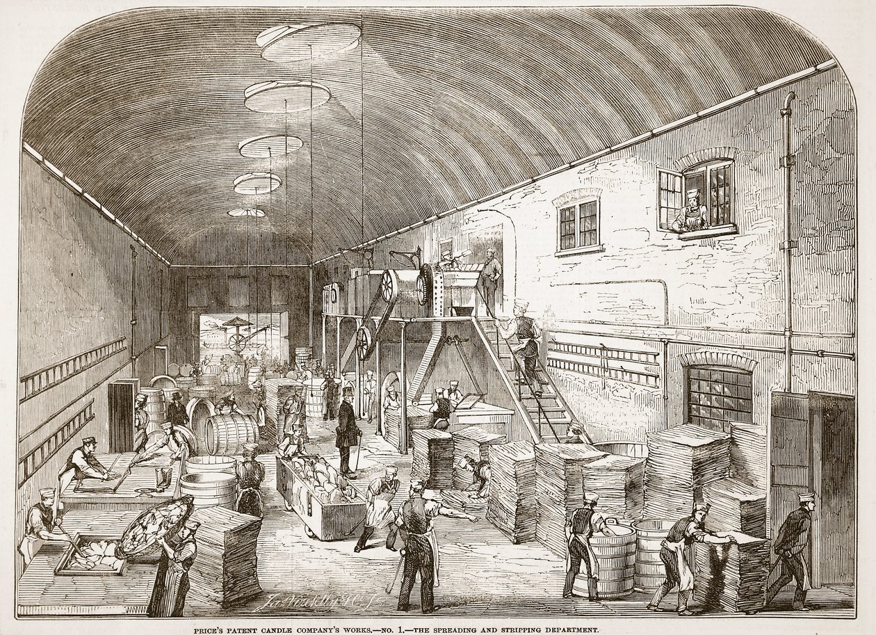 特許キャンドル会社の作品、No.1：1849年、ロンドンのイラスト入りの新聞からの拡散と剥奪部門 作： 英語学校