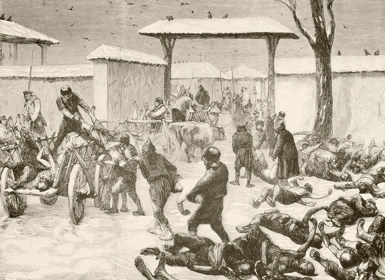 1877年、ブルガリアのプレヴナ包囲戦後の死者回収（リトグラフ） 作： 英語学校