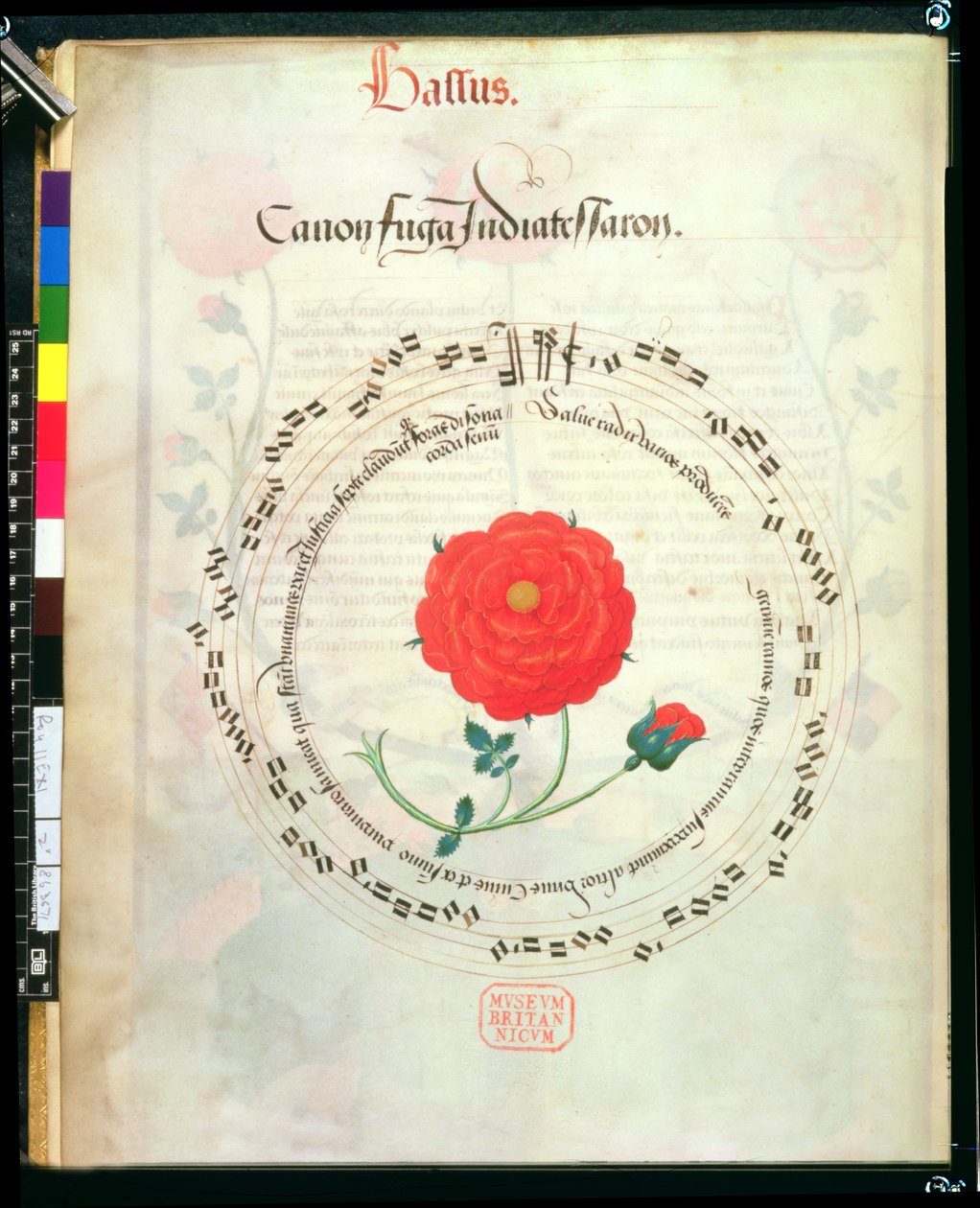 Roy II E XI f.2v カノン、円形譜表と中央にバラ、Richard Sampson 作 Motets (ベラム) 作： 英語学校