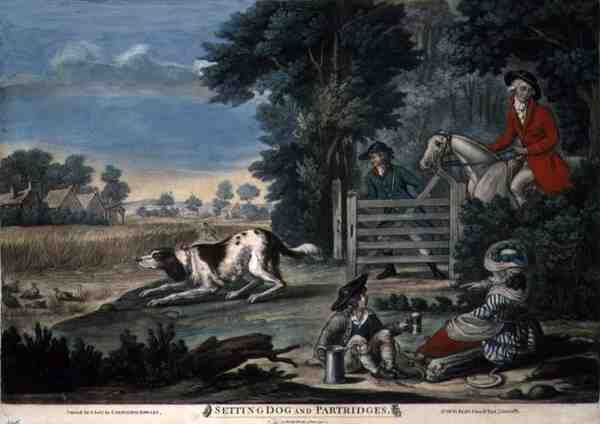 カリントン・ボウルズ（1744-93年）による「犬と鳥の設定」。 作： 英語学校