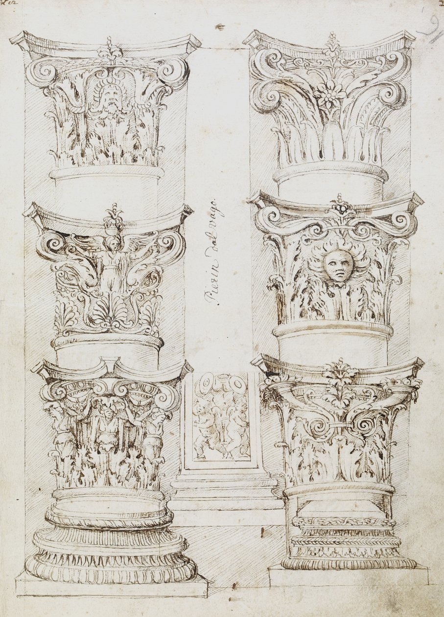 Six Capitals、Lesene and Two Column Bases、Folio 1、The Master of the Oxford Album、c.1512-17（ペンとダークブラウンのインク） 作： 英語学校