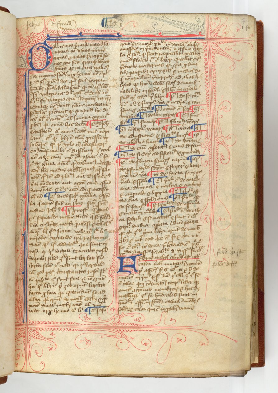 Sloane 280、f.9r 「ローザ アンジェリカ」の序文、ジョン ガデスデン作 作： 英語学校
