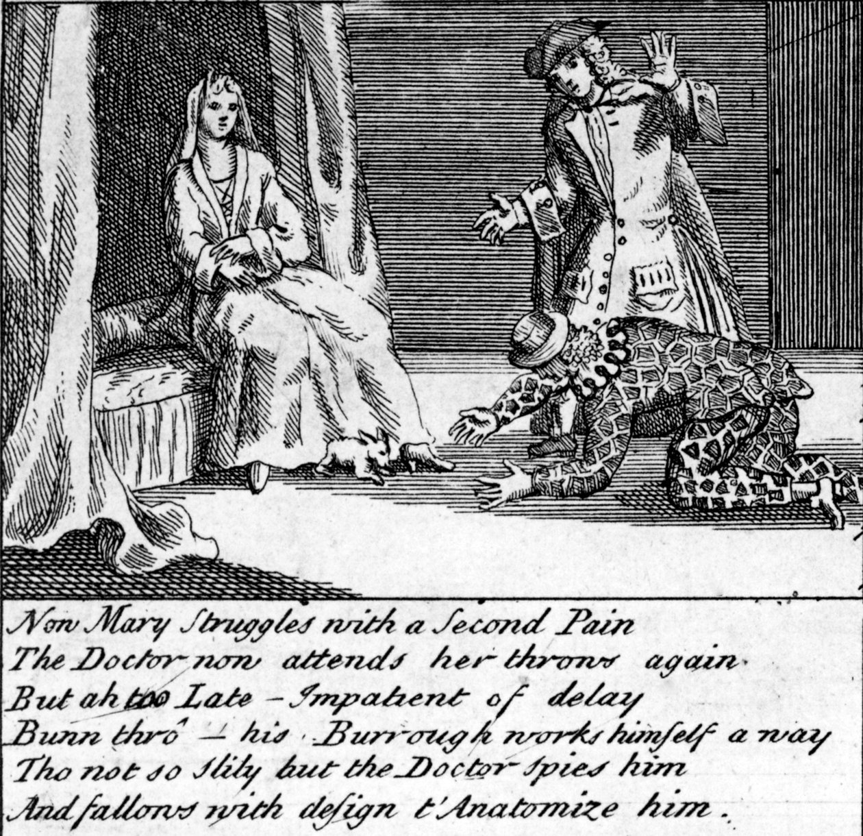 労働の医者、またはギルフォード出身のニューウィムワム、1726年 作： 英語学校