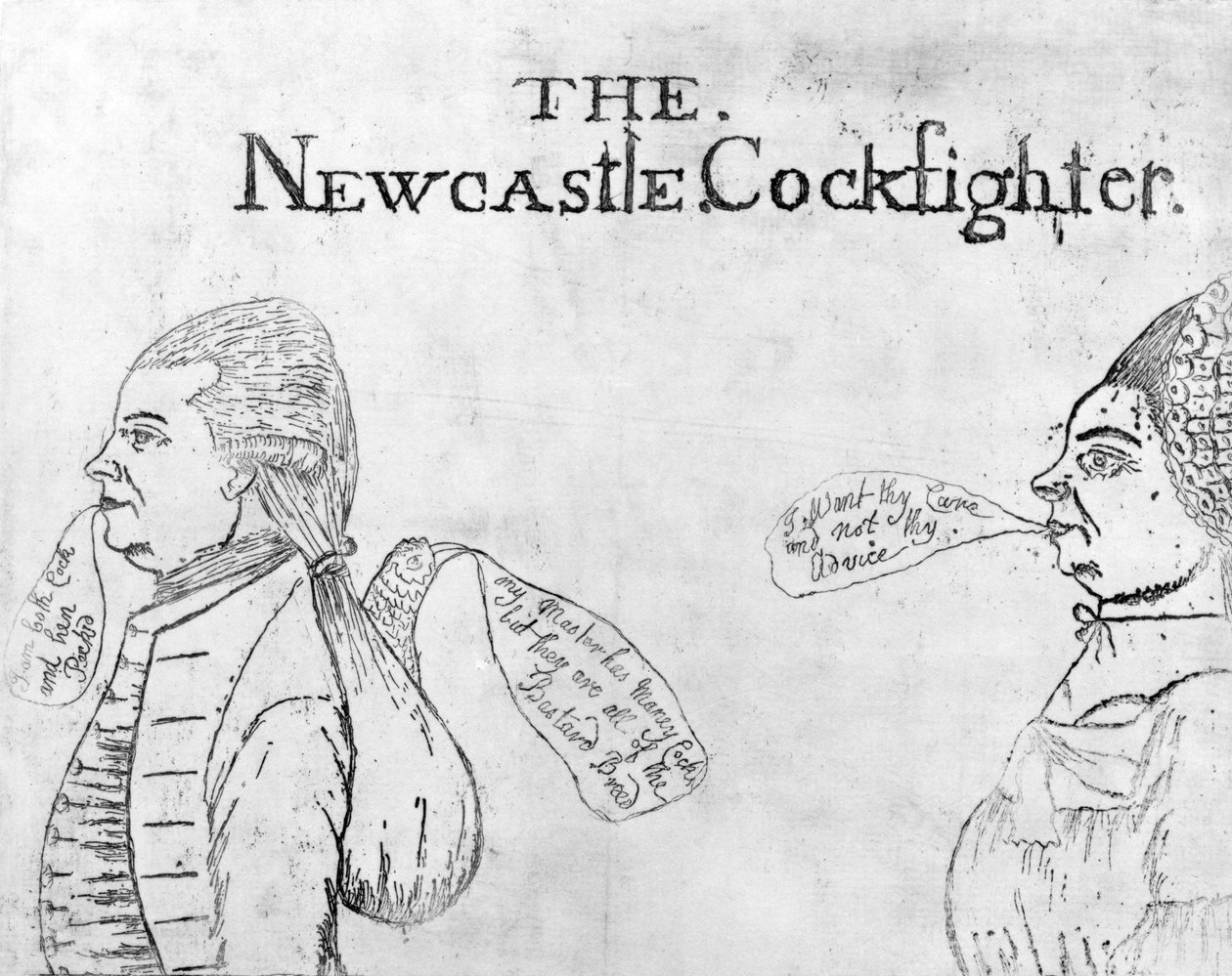 ニューカッスルコックファイター、1750年頃 作： 英語学校