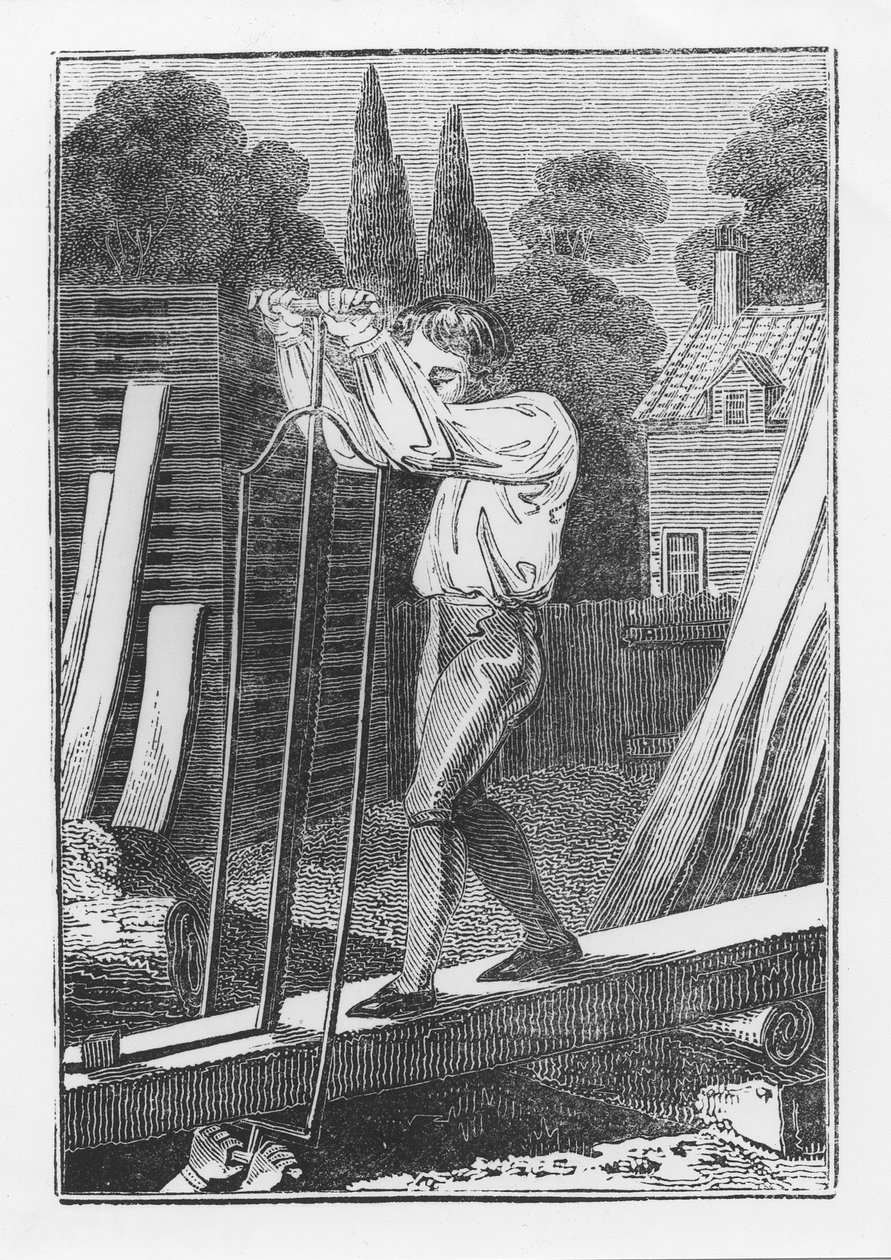 The Sawyer、The Young TradesmanまたはBook of English Trades、1839 作： 英語学校