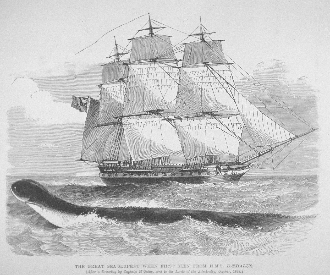 1848年にダイダロス号から初めて見られた大海蛇、1848年頃（エングレーヴィング 作： 英語学校