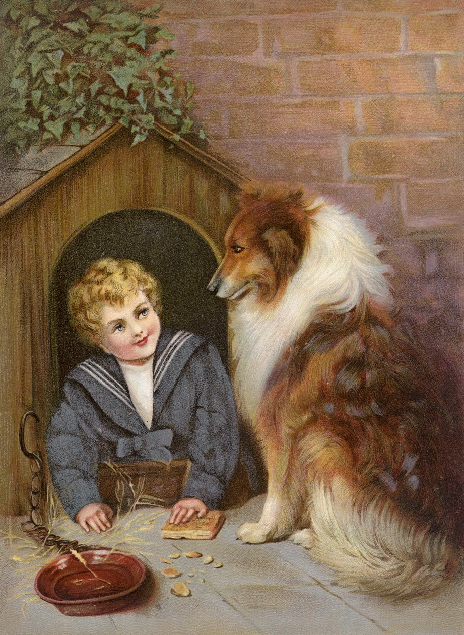 Turned Out - コリー犬のふりをする少年（カラーリトグラフ） 作： 英語学校