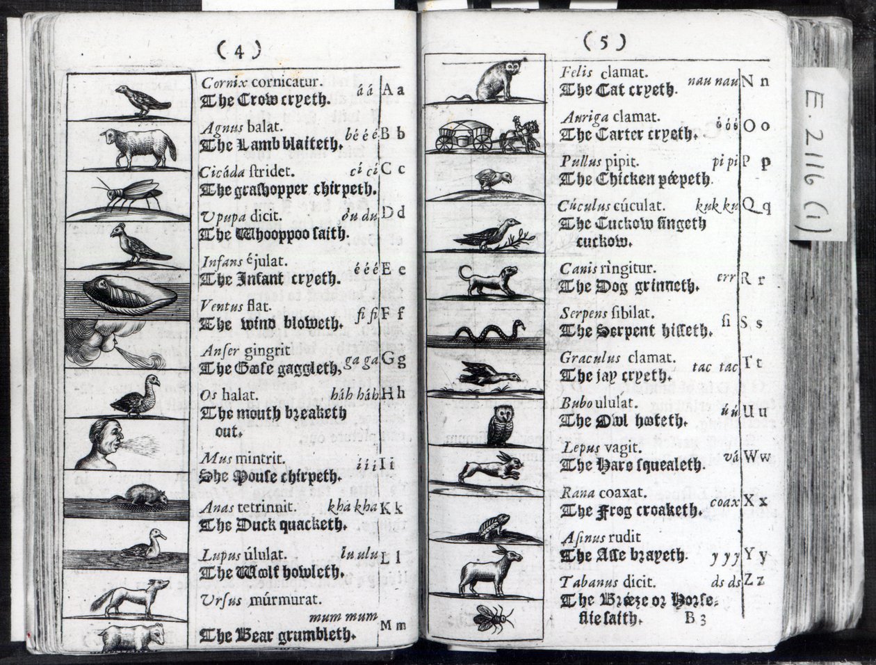 World Sensualium Pictus Comeniusの2ページ、1659 作： 英語学校