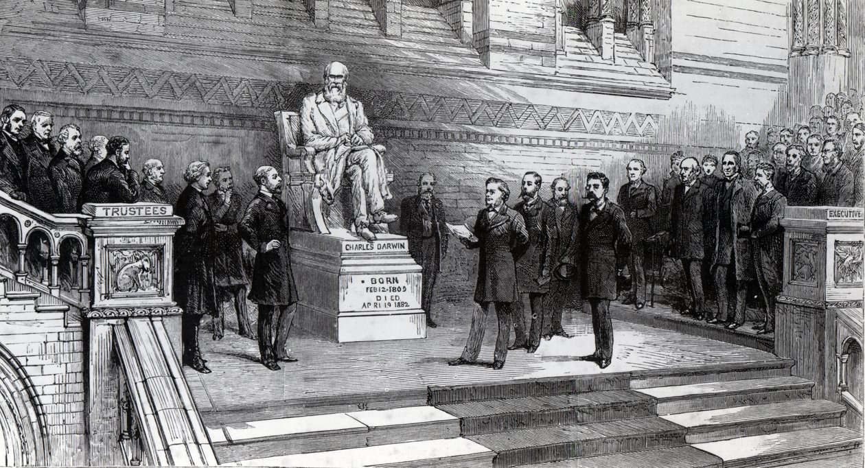 1885年6月9日、サウスケンジントンの自然史博物館で故チャールズダーウィンの像を発表 作： 英語学校