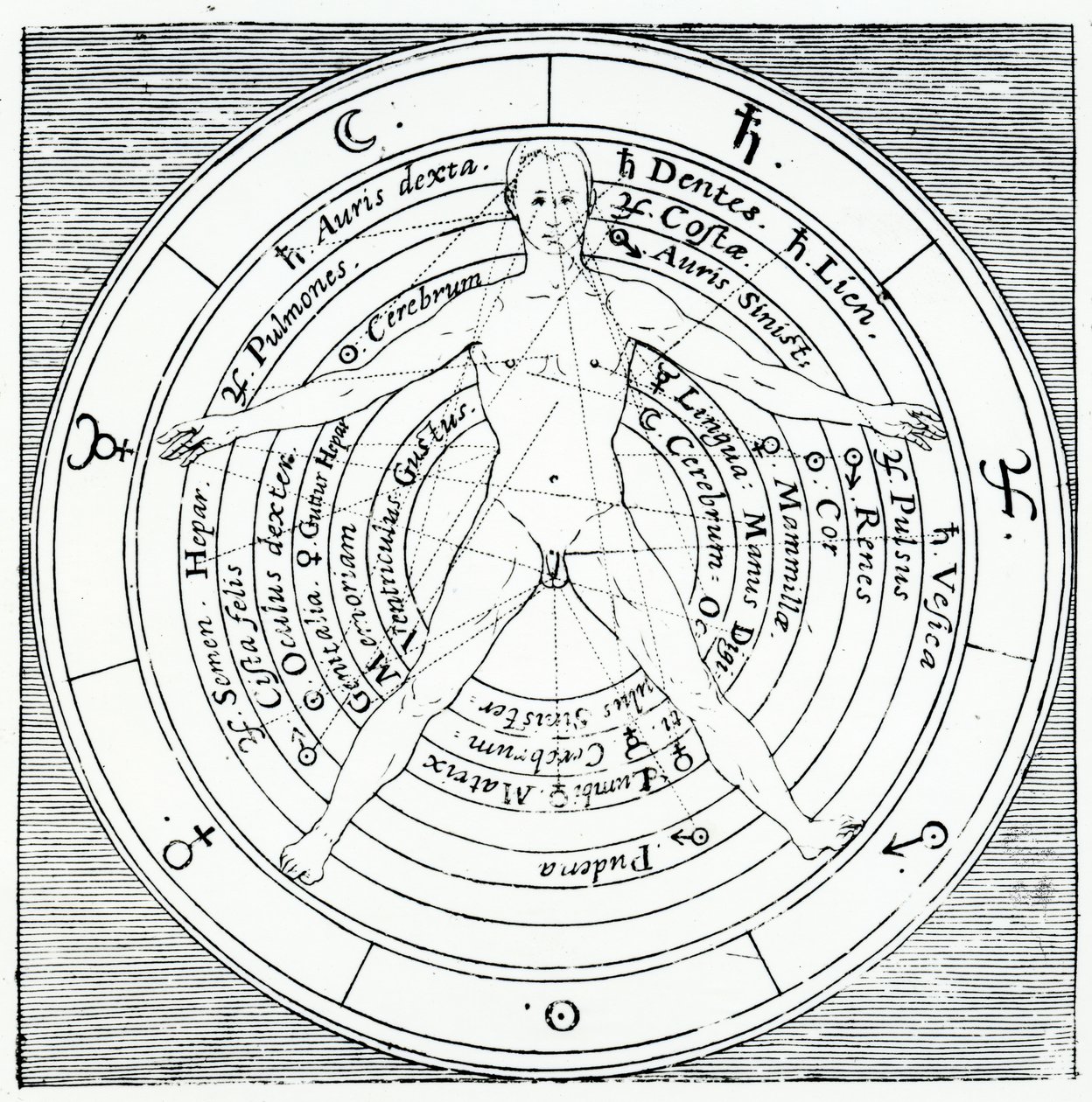 1617年に出版されたロバートフラッドの「ユトリウスクコスミヒストリア」のウィトルウィウスの図（彫刻） 作： 英語学校