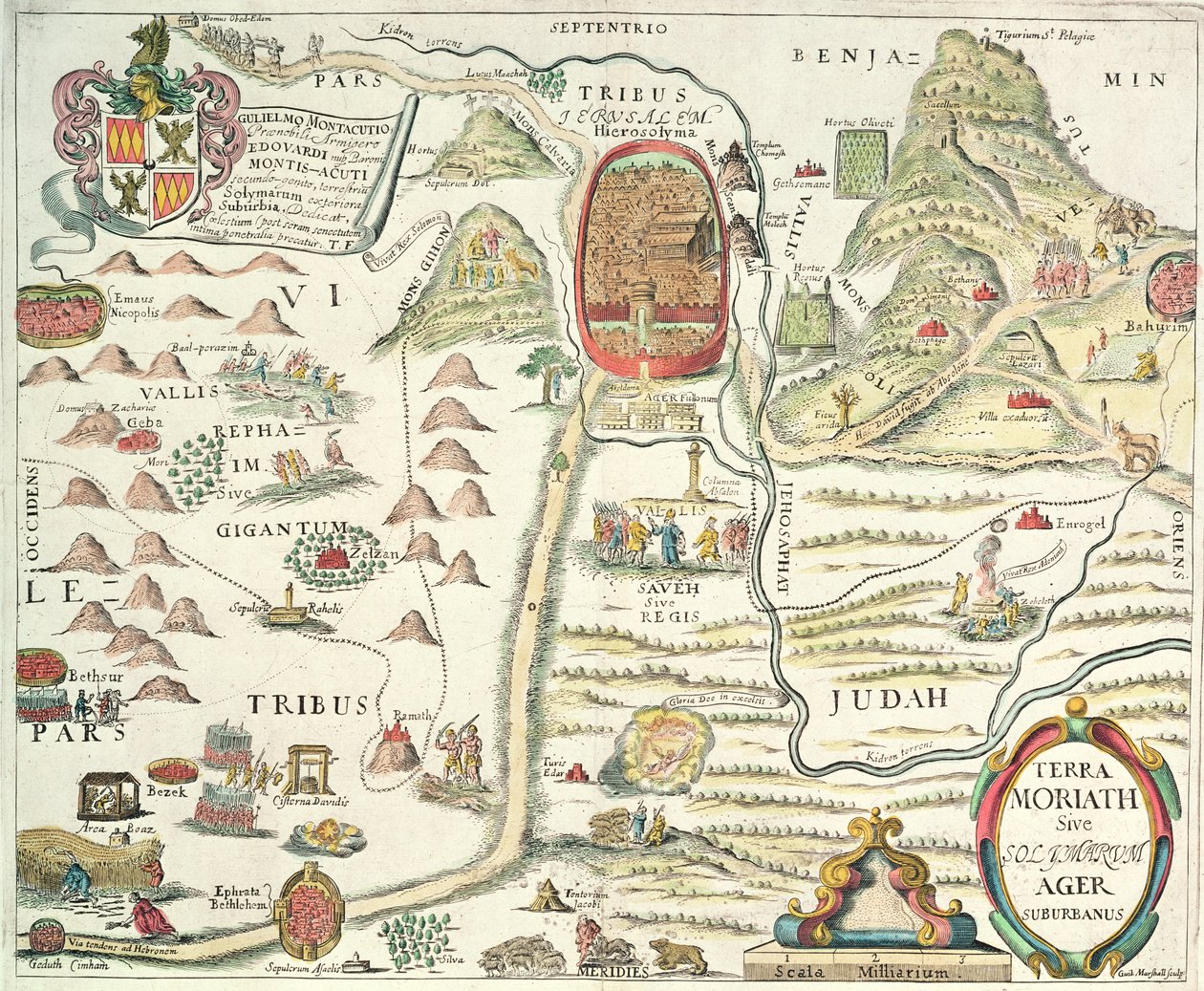 モリアス・ソリマ・フィールドサバーバヌス（カラー彫刻） 作： 英語学校英語学校