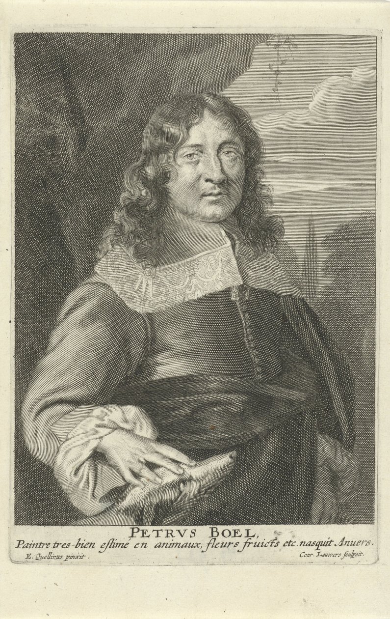 ピーテル・ボエル、コンラッド・ラウワーズによる彫刻、c.1649-62（彫刻） 作： エラスムス（後）ケリヌス