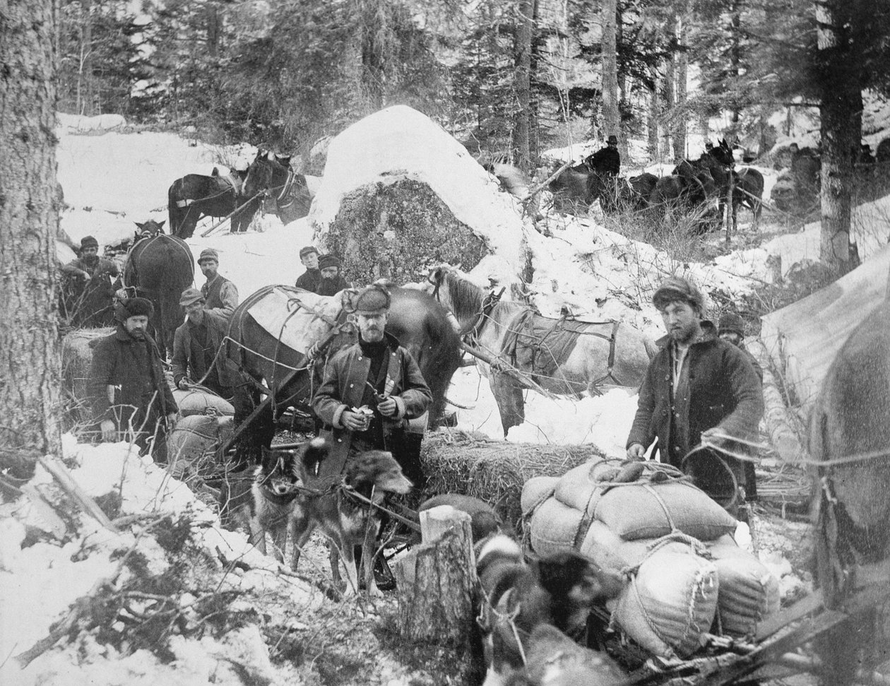 クロンダイク ゴールド ラッシュ (1897-98) 1898 (b/w 写真) 中に、アラスカのスキャグウェイ トレイルでポーキュパイン ヒルを登る探鉱者 作： エリック・ヘッグ