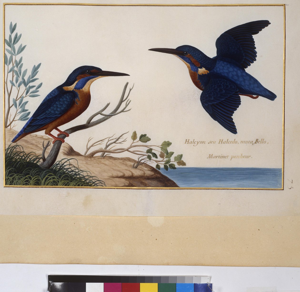  作： エーリッヒ・レッシング