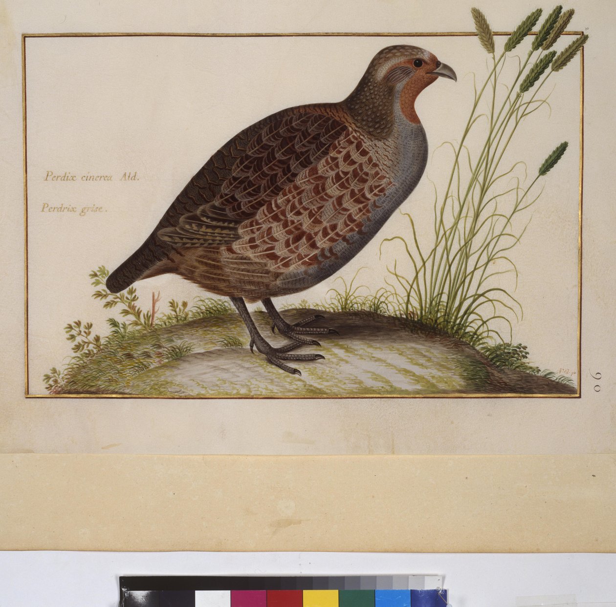  作： エーリッヒ・レッシング