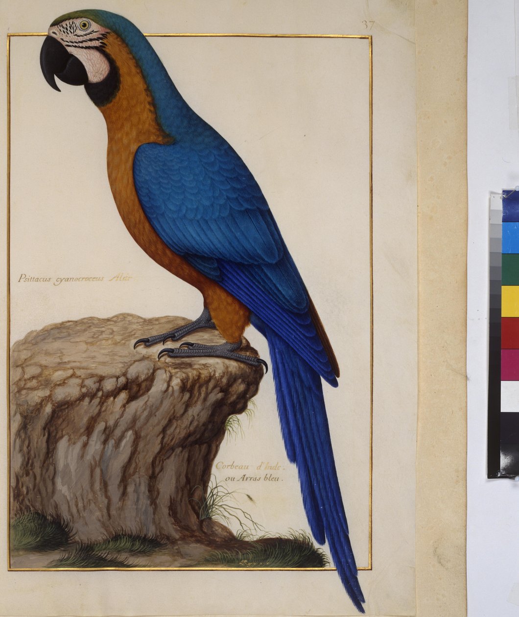  作： エーリッヒ・レッシング