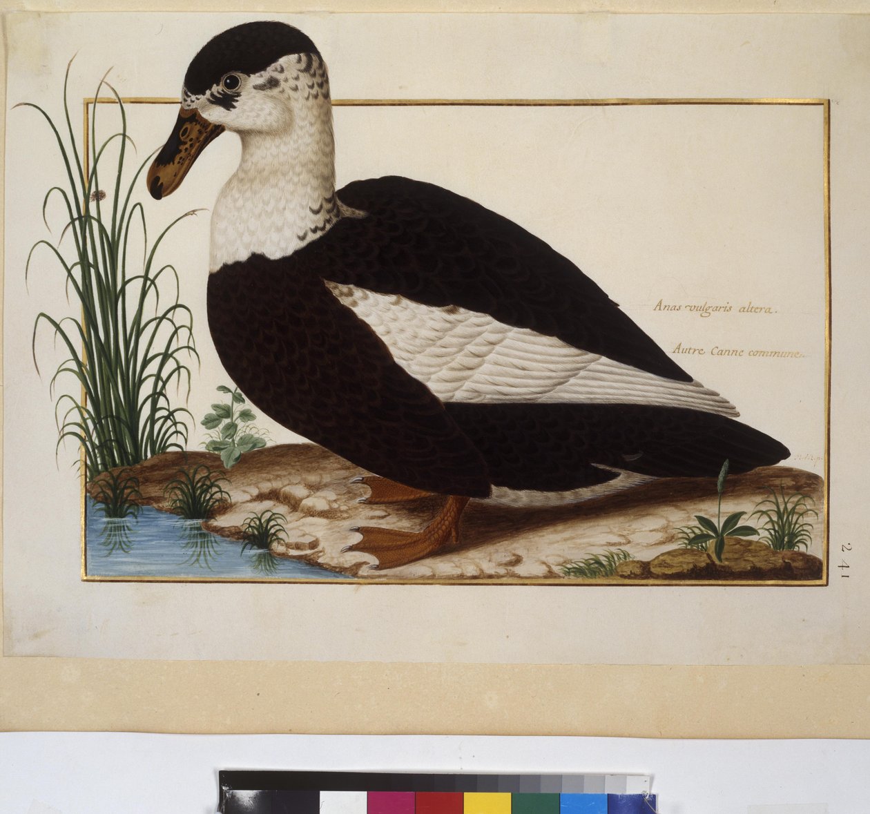  作： エーリッヒ・レッシング