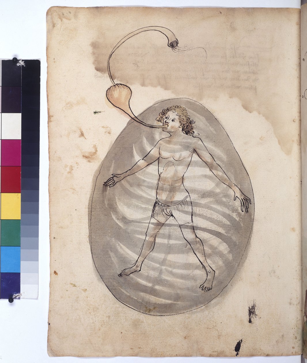 全ページ：海女 1430年頃（カラーペン画） 作： エーリッヒ・レッシング