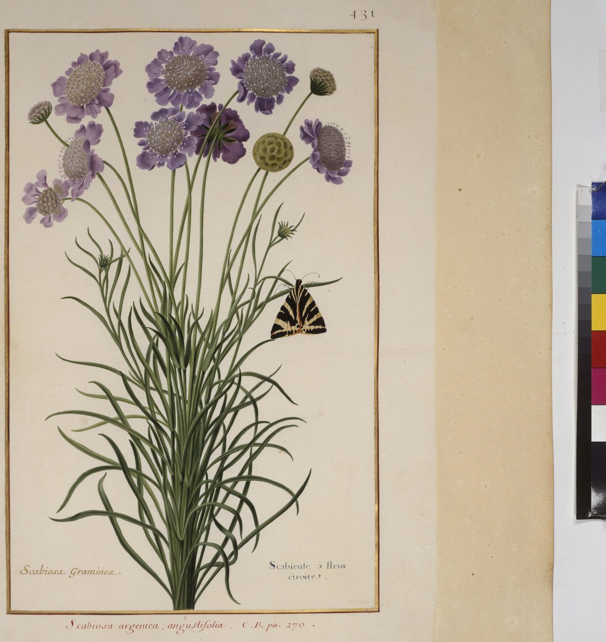  作： エーリッヒ・レッシング