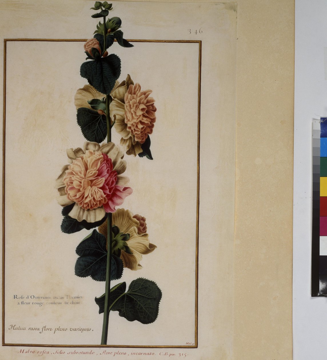  作： エーリッヒ・レッシング