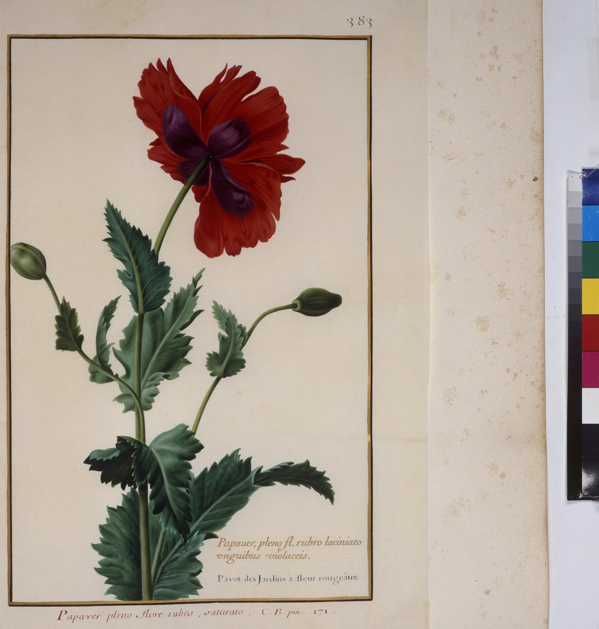  作： エーリッヒ・レッシング