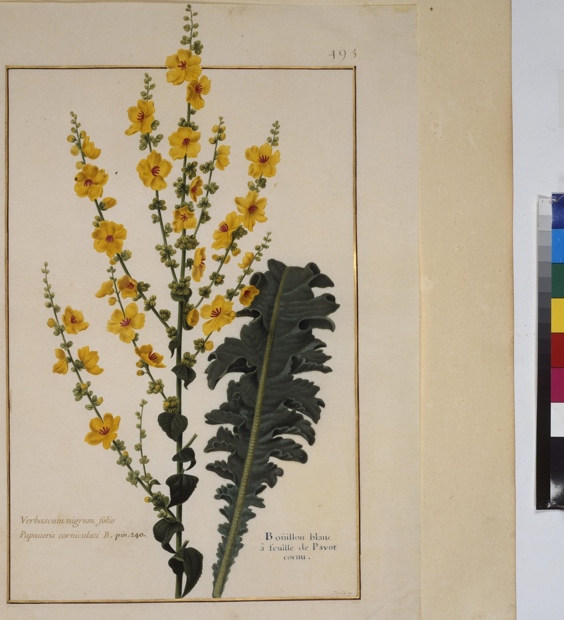  作： エーリッヒ・レッシング