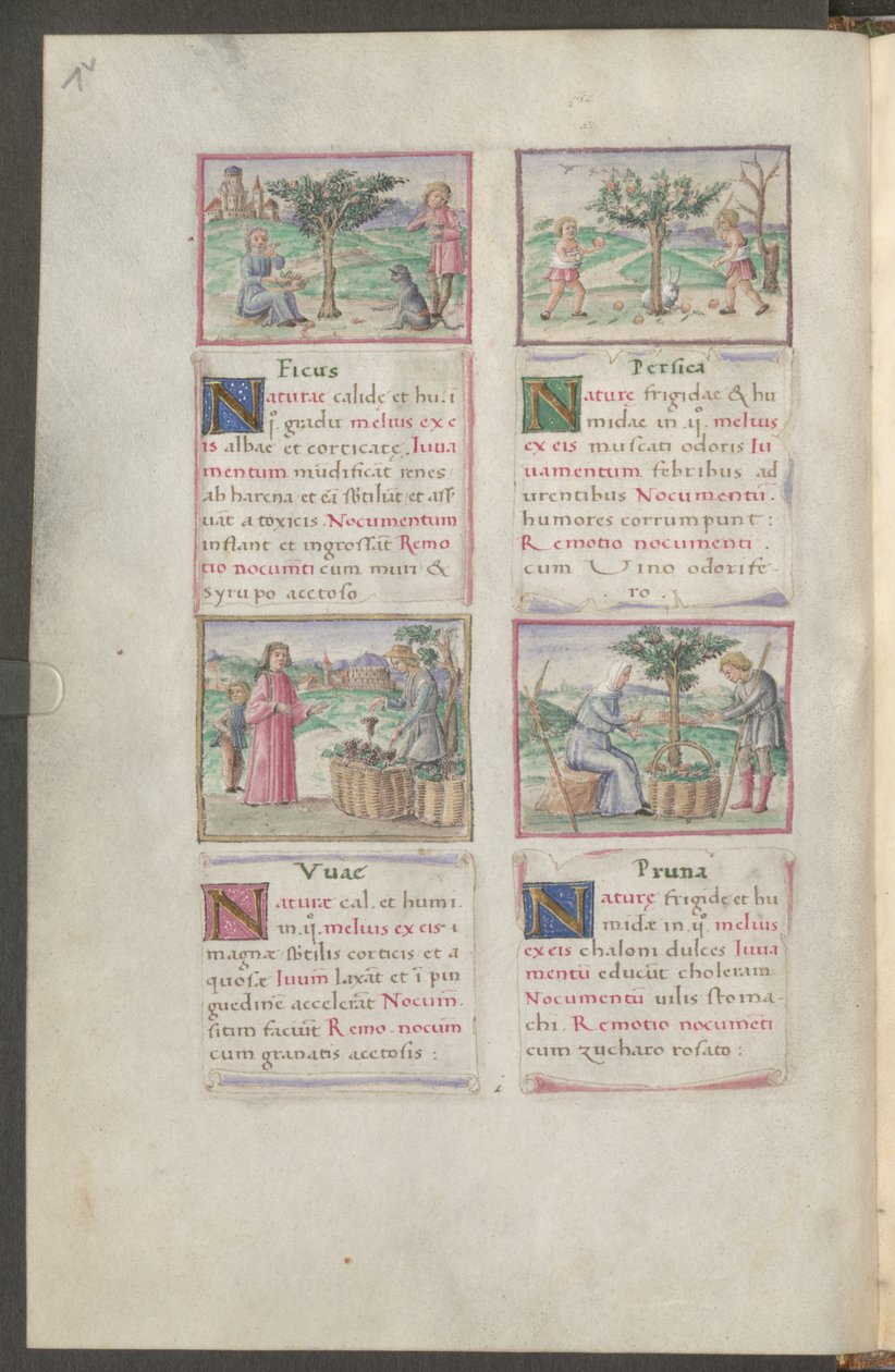  作： エーリッヒ・レッシング