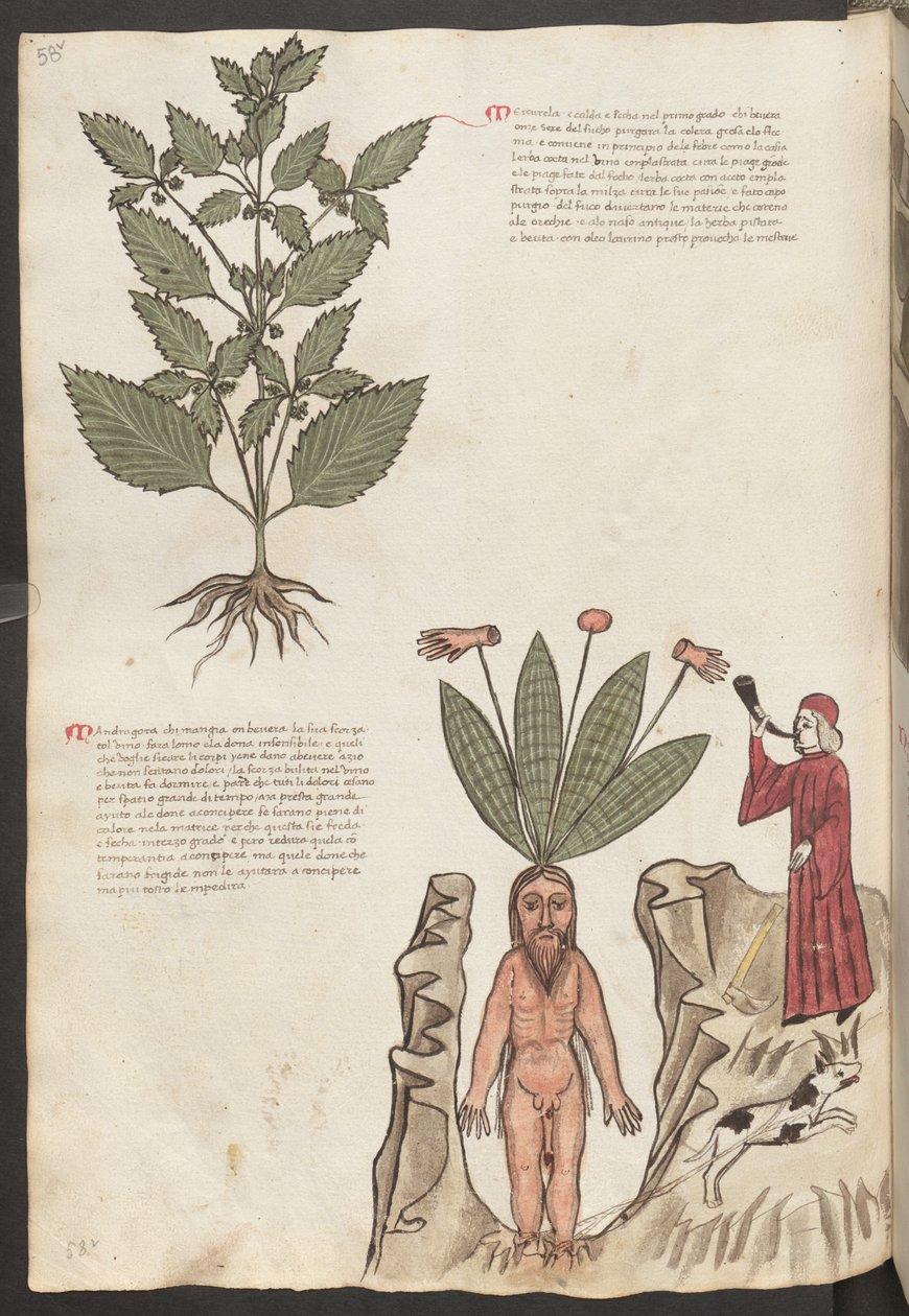  作： エーリッヒ・レッシング