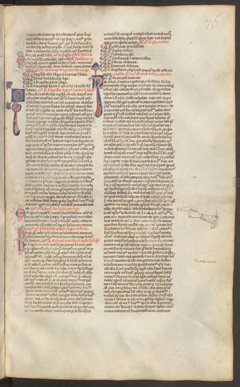  作： エーリッヒ・レッシング