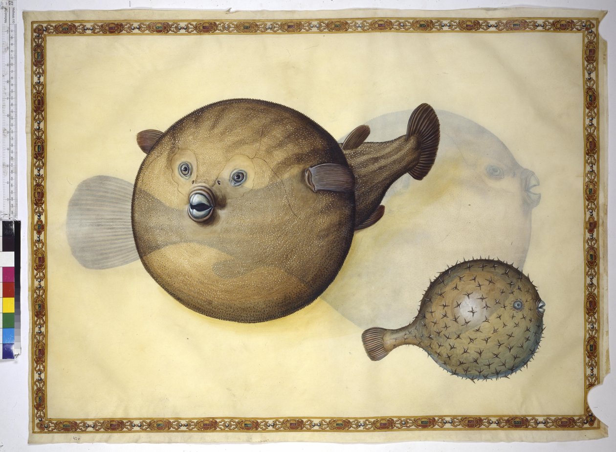  作： エーリッヒ・レッシング